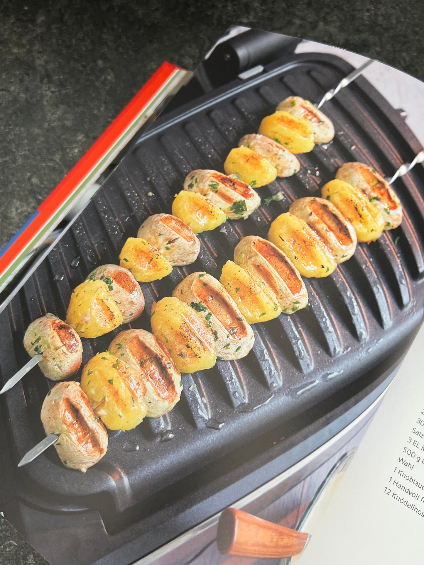 OPTIGRILL GOLD - Die besten Rezepte