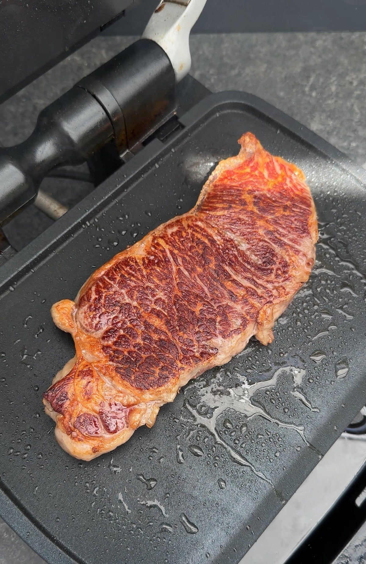 OptiGrill Planchaplatten - Für was sind die sinnvoll?