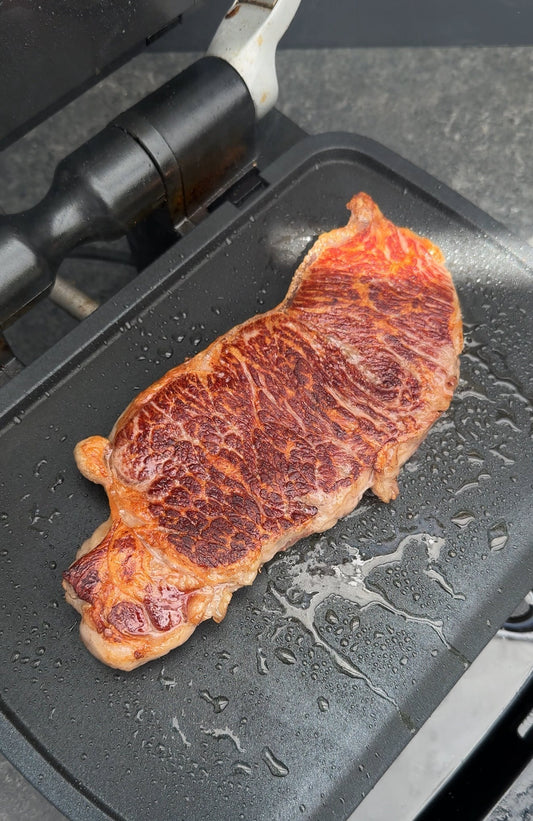 OptiGrill Planchaplatten - Für was sind die sinnvoll?